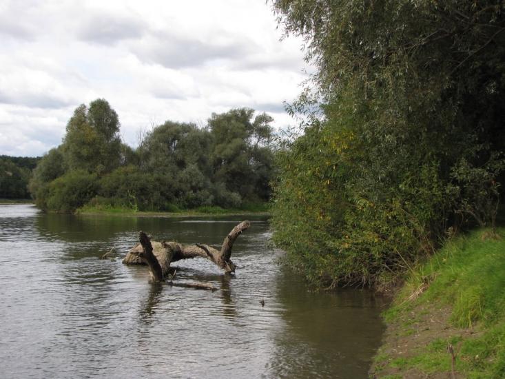 Радичів з panoramio.com - Радичев