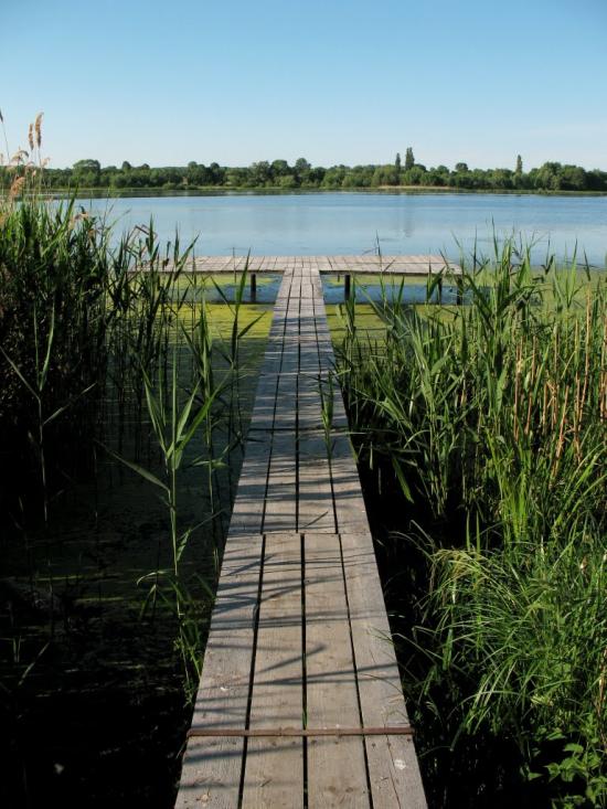 Головчинці з panoramio.com - Головчинцы