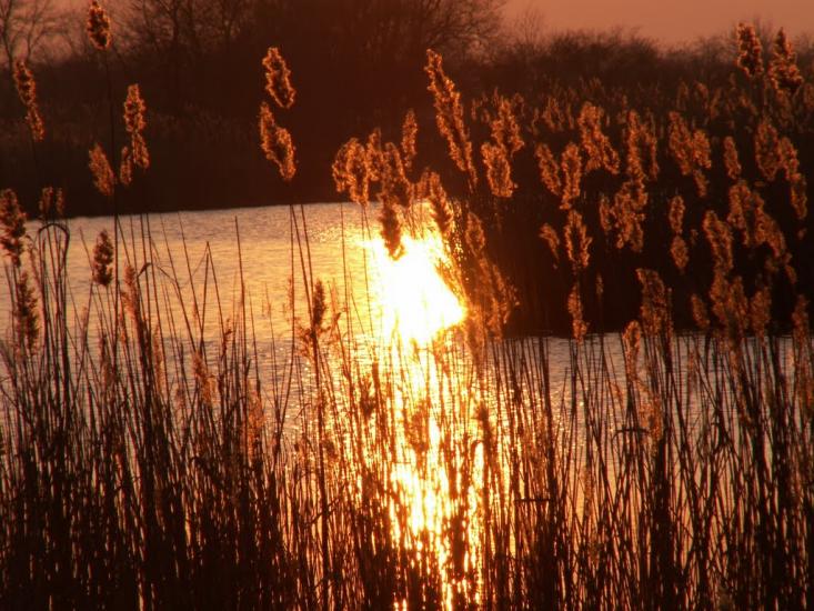 Вільнянськ з panoramio.com - Вільнянськ