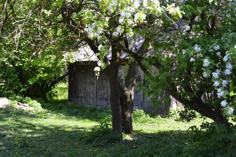 Меленці з panoramio.com - Меленцы