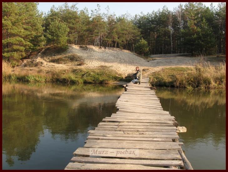 Ровжі з panoramio.com - Ровжи