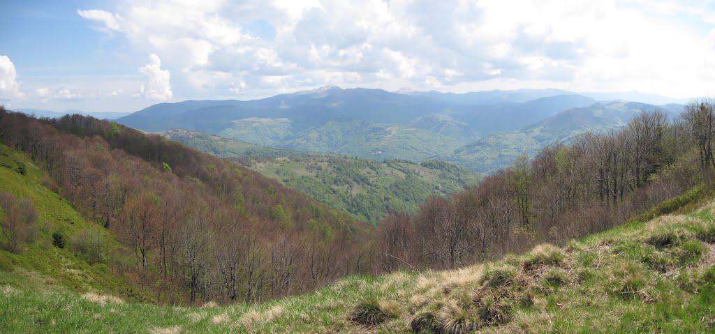 Білин з panoramio.com - Білин