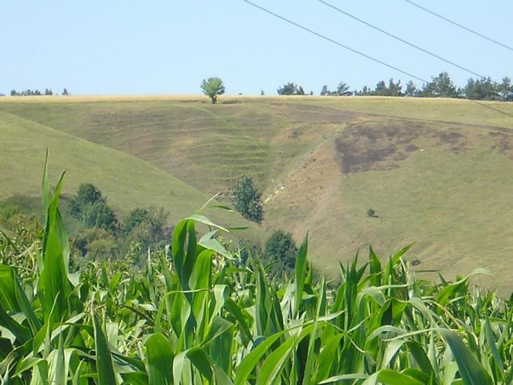 Чечельник з panoramio.com - Чечельник