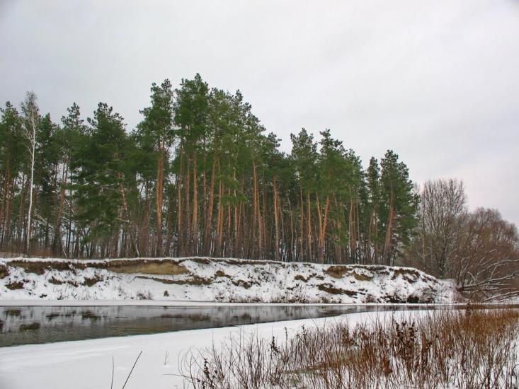 Велика Чернеччина з panoramio.com - Велика Чернеччина