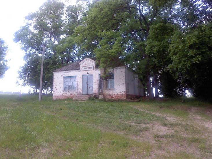 Верба з panoramio.com - Верба