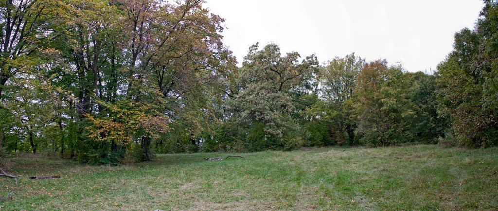 Вербка з panoramio.com - Вербка