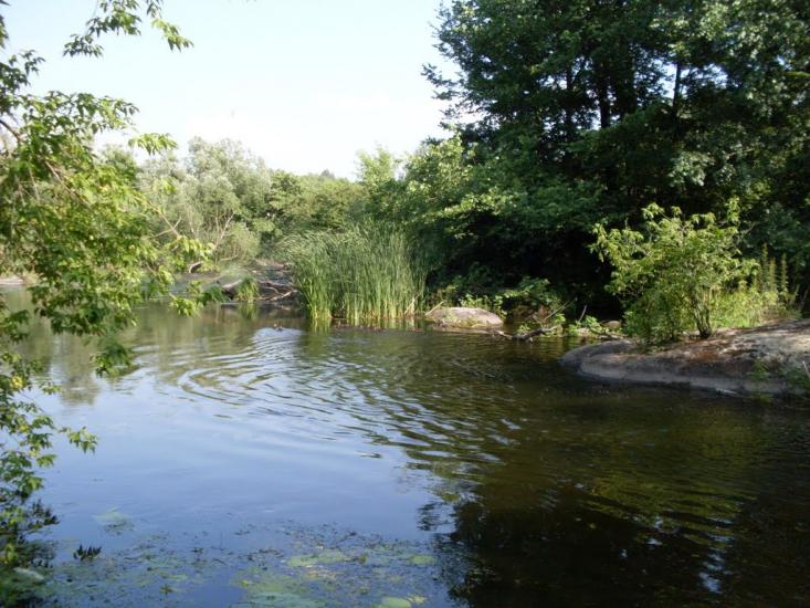 Четвертинівка з panoramio.com - Четвертиновка