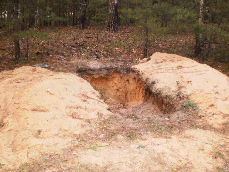 Скрипаї з panoramio.com - Скрипаи