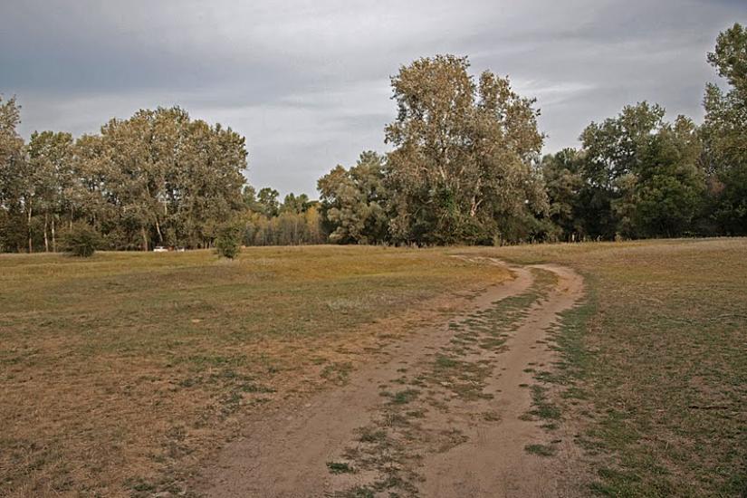 Баранівка з panoramio.com - Барановка