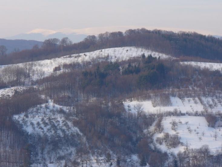 Поляна з panoramio.com - Поляна
