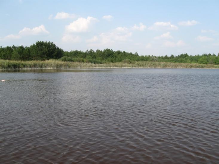 Раденськ з panoramio.com - Radensk