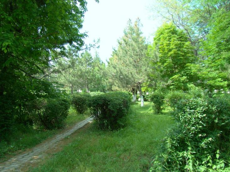 Кіровське з panoramio.com - Кировское