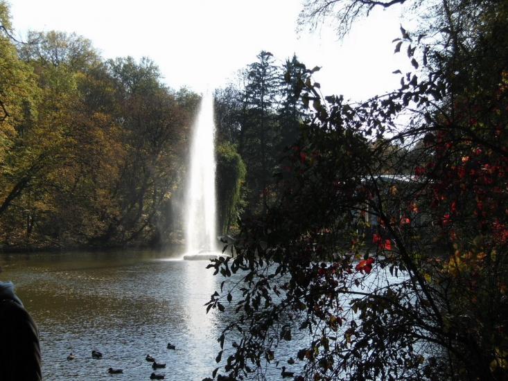 Вишнопіль з panoramio.com - Вишнопіль