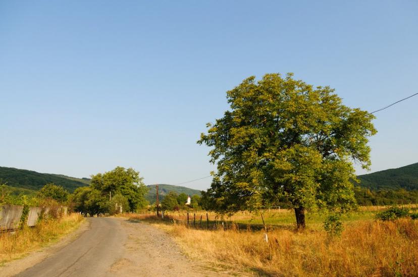 Забрідь з panoramio.com - Забрідь