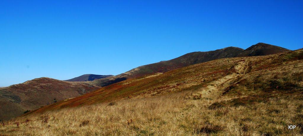 Вовчий з panoramio.com - Волчий