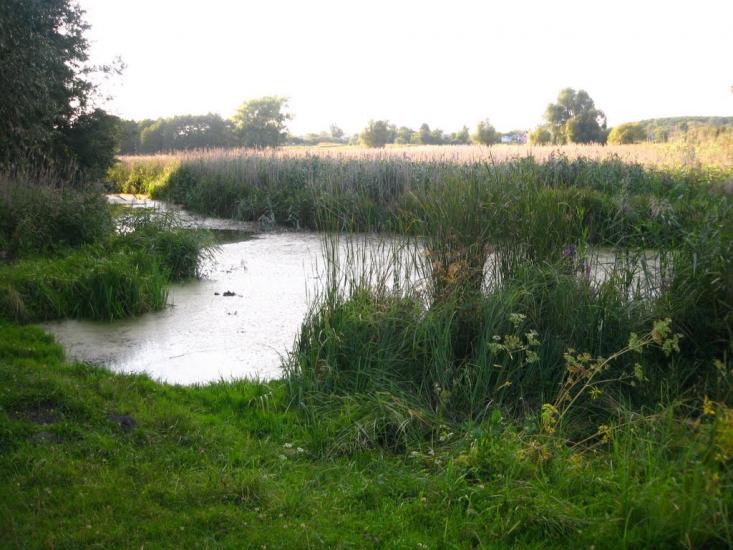 Кожанка з panoramio.com - Кожанка