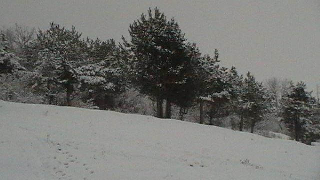 Тростянець з panoramio.com - Тростянец