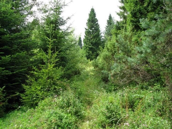 Розлуч з panoramio.com - Rozluch