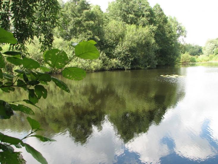 Зіньків з panoramio.com - Зеньков