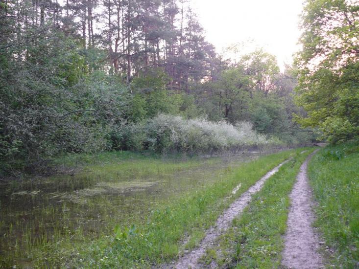 Могилів з panoramio.com - Могилев