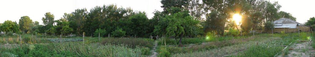 Новеньке з panoramio.com - Новенькое