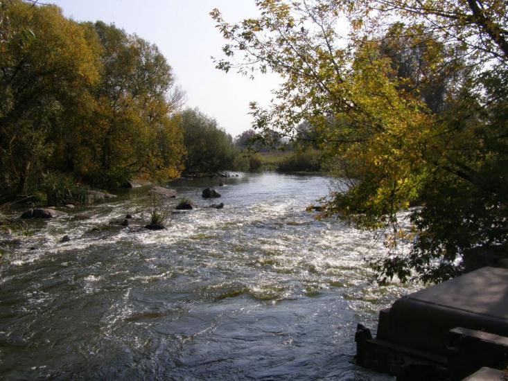 Пугачівка з panoramio.com - Пугачівка