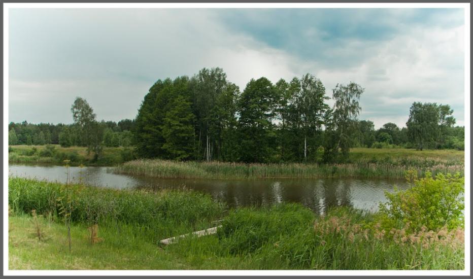 Ровжі з panoramio.com - Ровжи