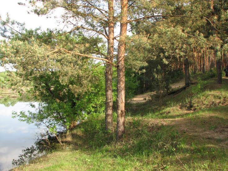 Гірки з panoramio.com - Гірки