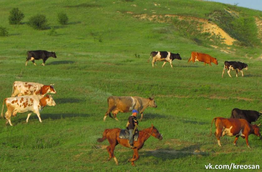 Марківка з panoramio.com - Марковка