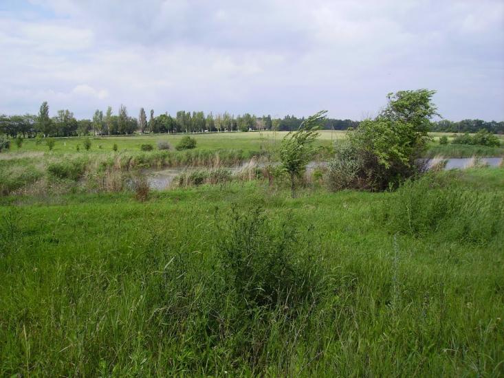 Доля з panoramio.com - Доля