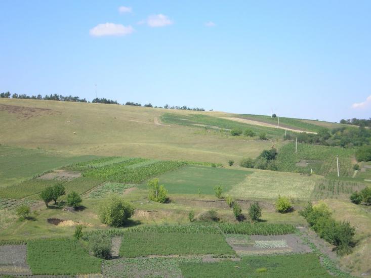 Чечельник з panoramio.com - Чечельник