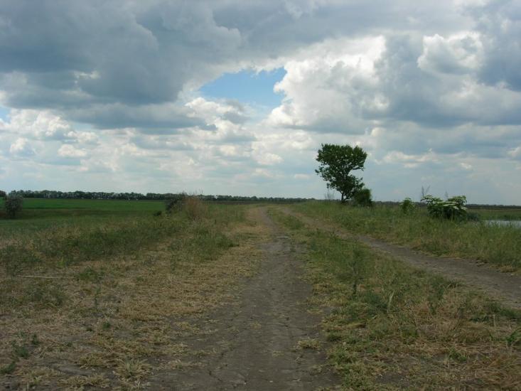 Степове з panoramio.com - Степове