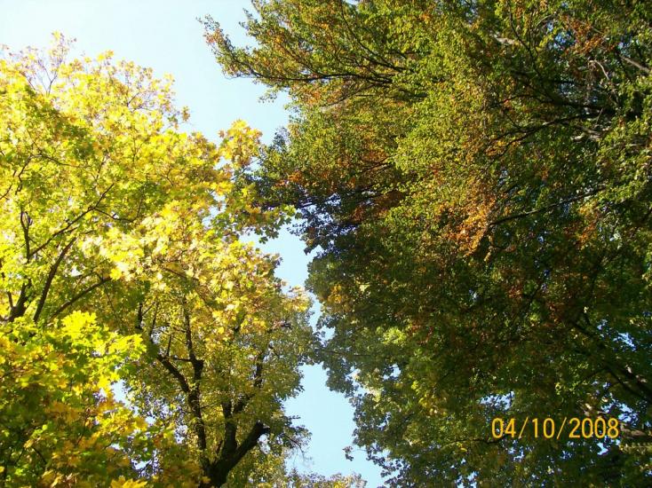 Вишнопіль з panoramio.com - Вишнопіль