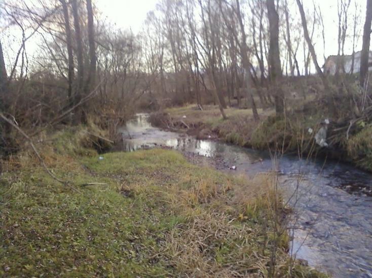Сторожинець з panoramio.com - Сторожинець