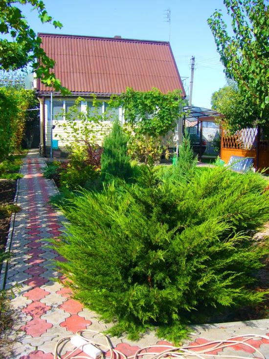 Вільноуланівське з panoramio.com - Вольноулановское