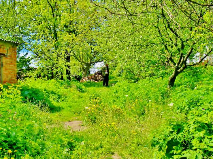 Козацьке з panoramio.com - Казацкое