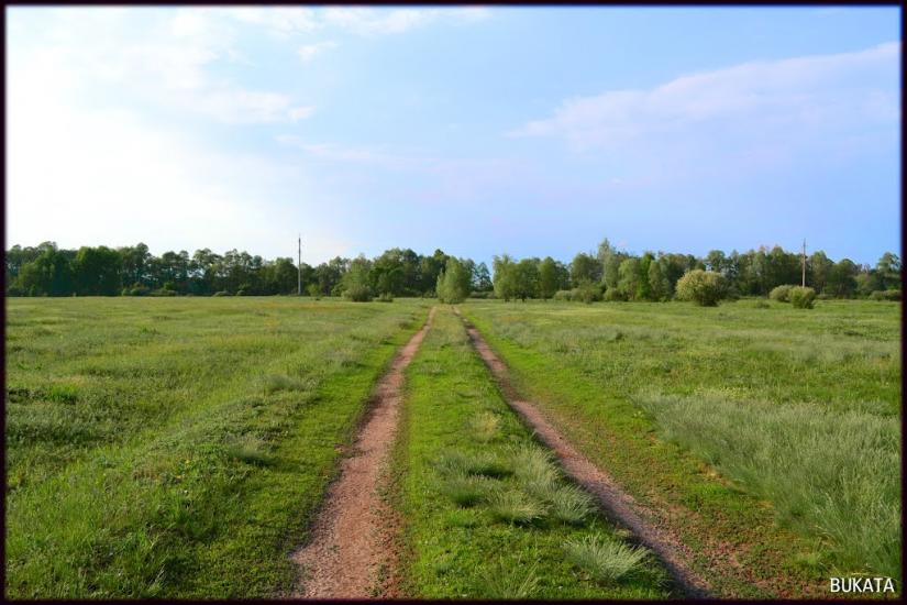Курган з panoramio.com - Kurgan