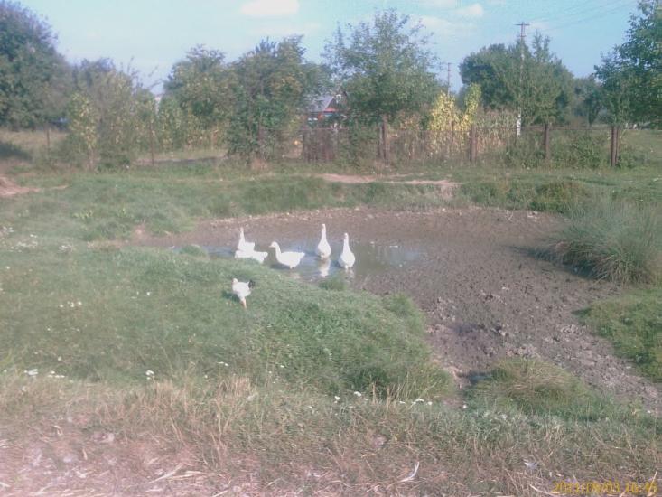 Малинів з panoramio.com - Малинів