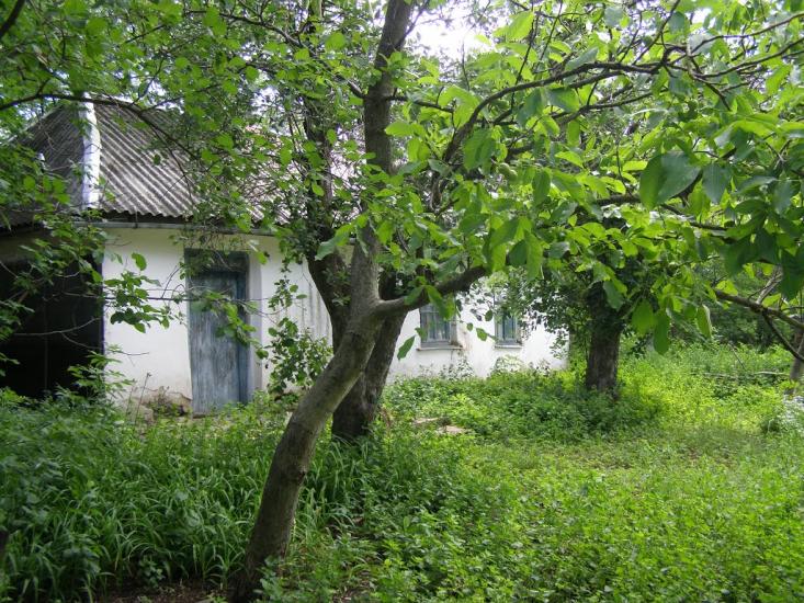 Петро-Марківка з panoramio.com - Петро-Марковка