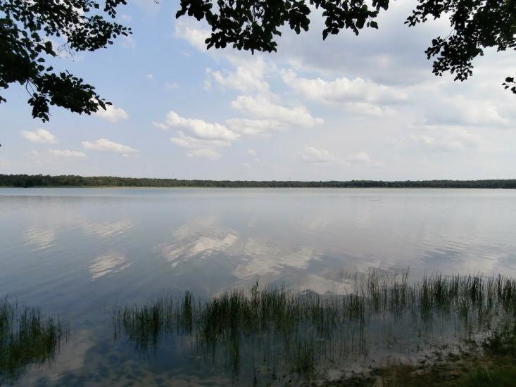 Ниговищі з panoramio.com - Ниговищи