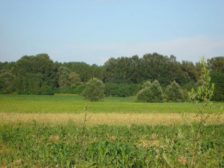 Соловка з panoramio.com - Solovka