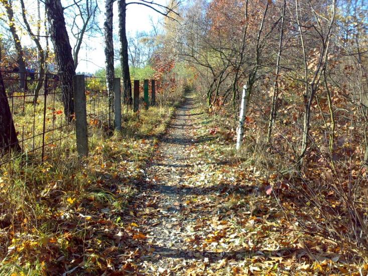 Щасливе з panoramio.com - Щасливе