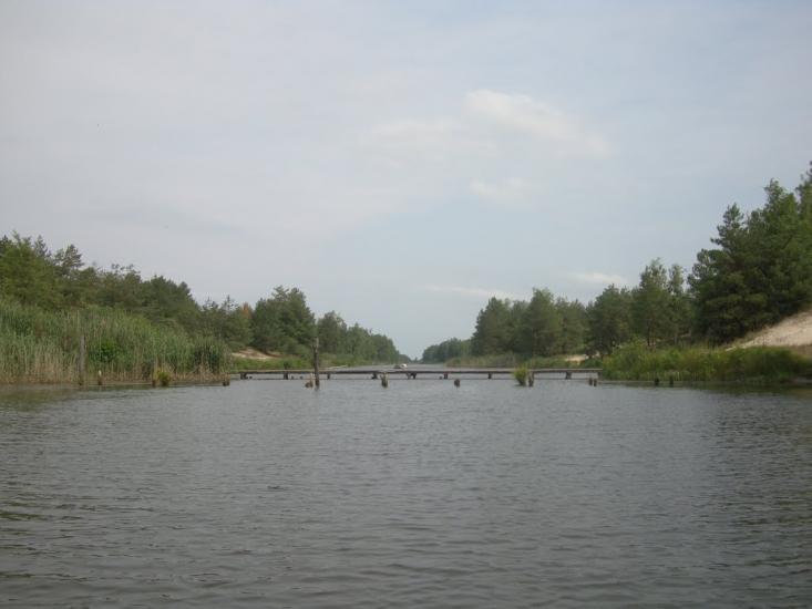 Ровжі з panoramio.com - Ровжи