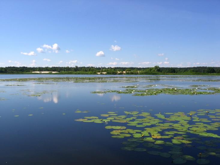 Романків з panoramio.com - Романков
