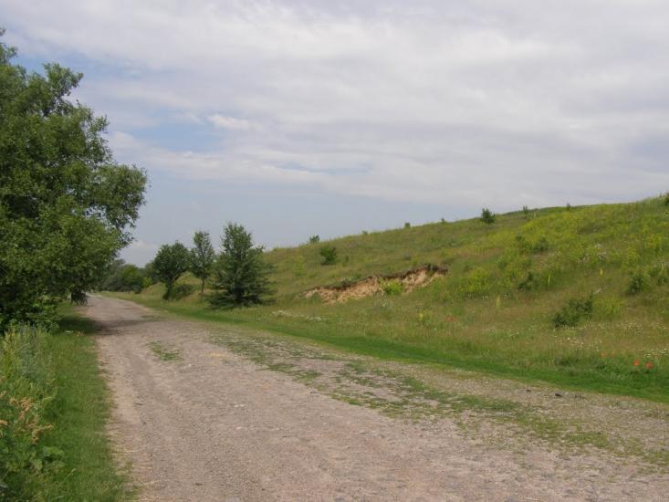 Петро-Марківка з panoramio.com - Петро-Марківка