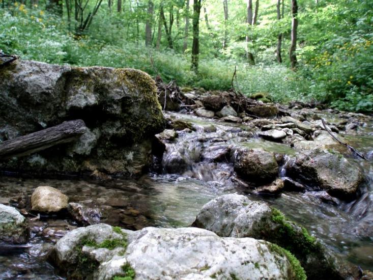 Кринцілів з panoramio.com - Кринцілів