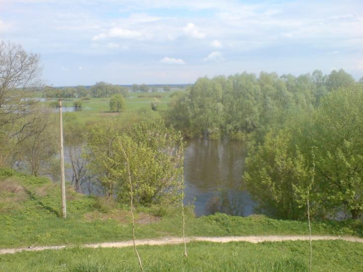 Іванків з panoramio.com - Иванков