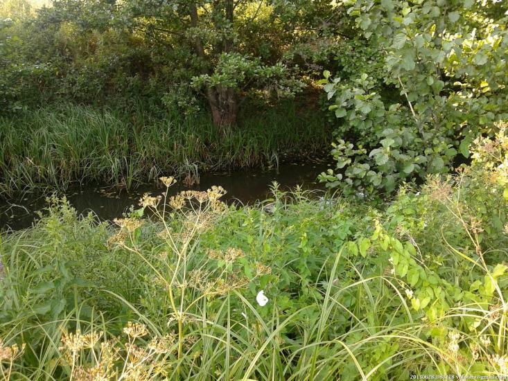 Переяслівка з panoramio.com - Переяслівка