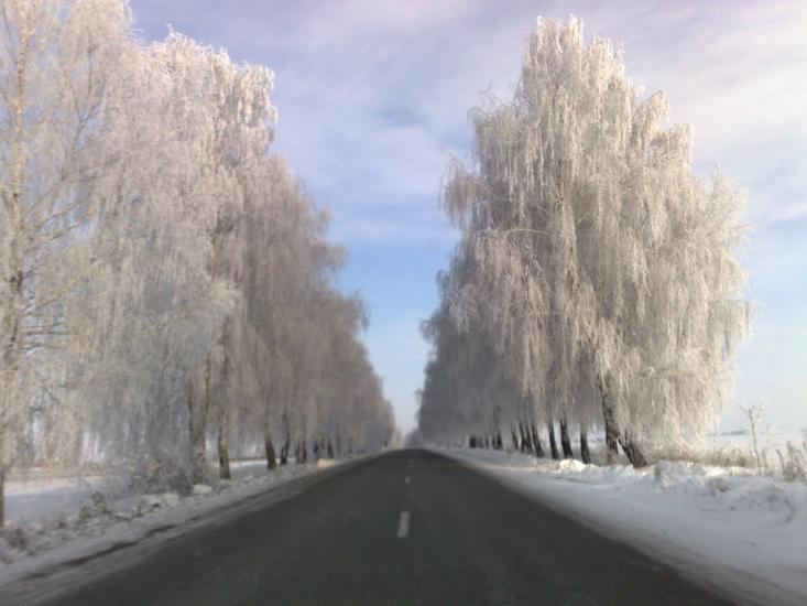 Чепиліївка з panoramio.com - Chepyliyivka