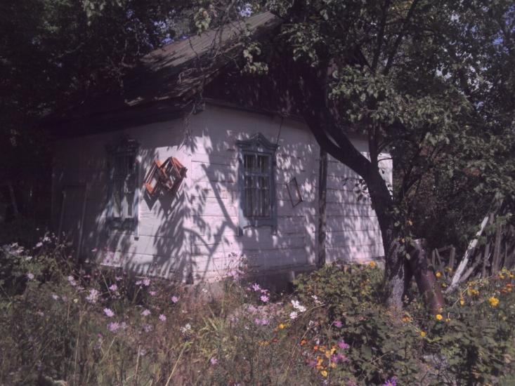 Ситняки з panoramio.com - Ситняки